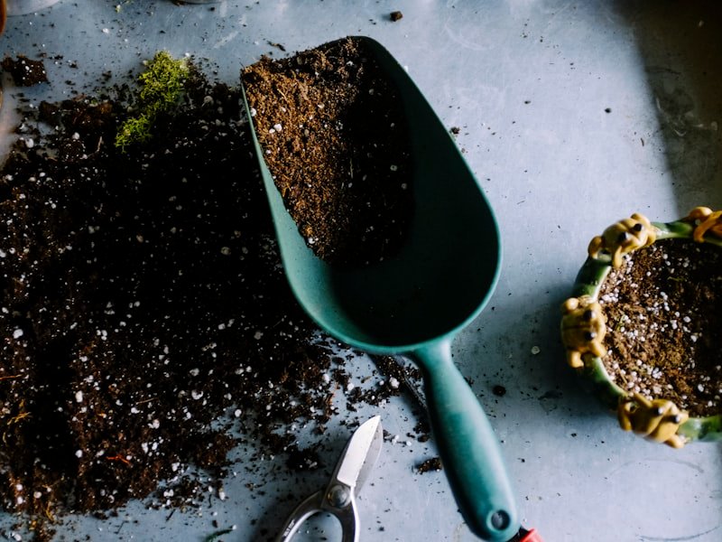 Landscaping and yard-waste load including soil and branches